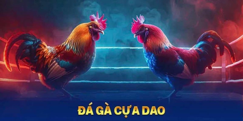 Cách tham gia đá gà cựa dao tại Net88